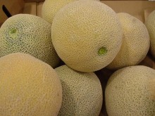 Fresh Musk Melon