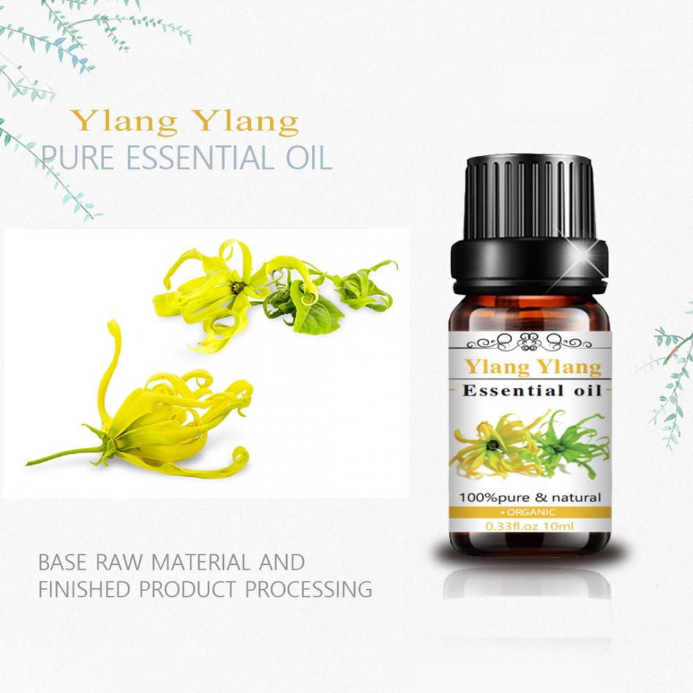 Нигоҳдорӣ Ylang ylang lelail нафт бо бастабандӣ