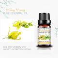 Penyimpanan Ylang Ylang Essential Oil Grosir dengan Kemasan