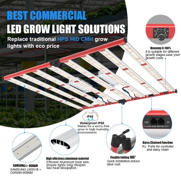 Luz hidropônica de cultivo 800W Samsung LM301B 301H