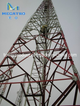 Triangle Mountain Antenna Tower (MGT-TA005)