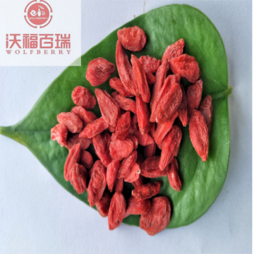 New crop organic Superfood Nutritional goji berries