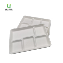 SugarCane Disposable Biodegradable 5-Compartment Tray