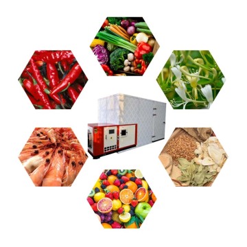Magic Mill 500kg Chilli Dehydrator Machine with Stainless Steel Trays