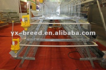 Pullet Rearing Cage for layer chicken