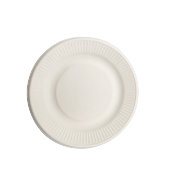 Eco-friendly Biodegradable Bagasse Sugarcane Pulp 6 Plates