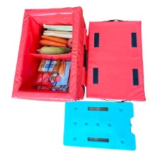 Motorcycle Food Delivery Bag