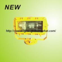 IP65 2-120w Aluminium PC COB Outdoor WF2 LED Explosion-proof Light