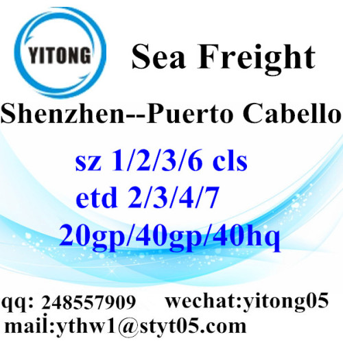 Shenzhen Sea Freight Logistics Agent to Puerto Cabello