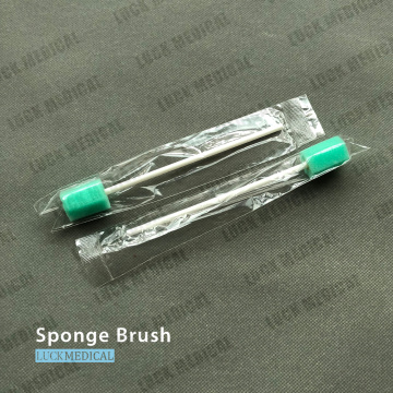 Disposable Sponge Brush Single Use