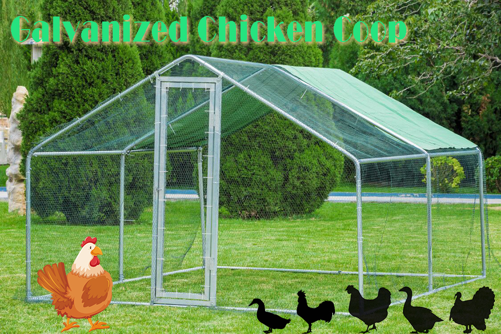 galvanized chicken coop