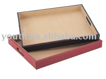 File Tray / Document Tray/File Holder/File Organizer