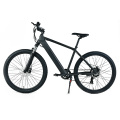 XY-SPORTSMAN ECO bestes E-Mountainbike unter 2000