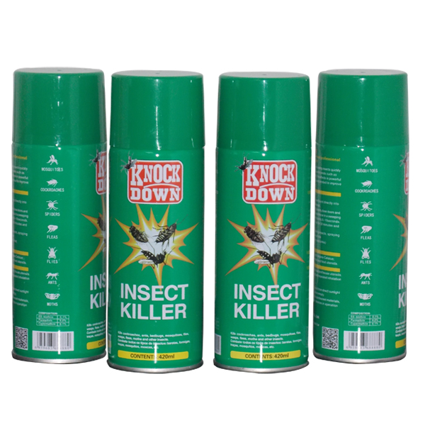 300ML/400ML Aerosol Insecticide /Pesticide Spray Cockroach Insect Killer