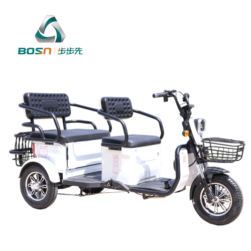 Small size OEM electric leisure tricycle/trike