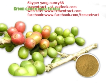 Green Coffee Bean Extract/ GMP Green Coffee bean Extract P.E / ISO Green Coffee Extract 50%