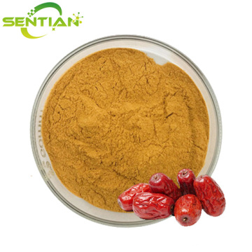 High Quality Jujube Extract for Wellness