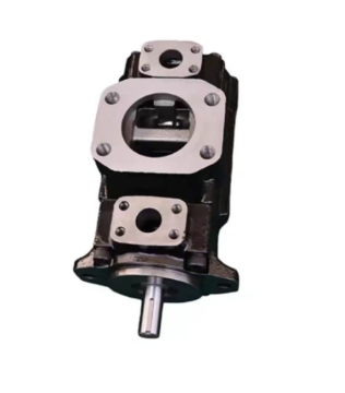 T7BB-B15-B09-1R00-A1 double vane pum