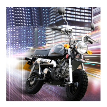 Retro Mini Off-Road Adult Four-Stroke Gasoline Monkey Motorcycle