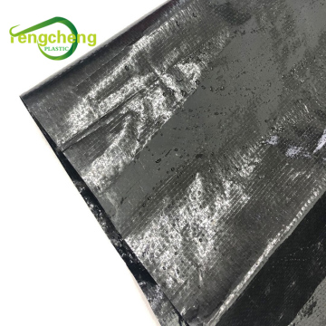 Black Sheeting HDPE Waterproof Geomembrane