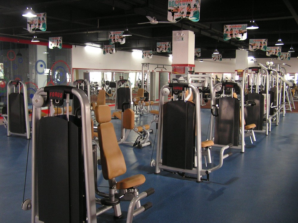 Gym Room Used Professional Commercial Vertical Knee Raise
