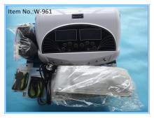 Dual System Detox Foot SPA, Ionic Detox Foot SPA Machine,