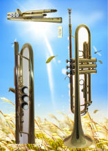 popular trumpet