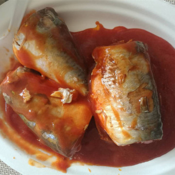 Консервированная рыба скумбрия в темно-красном томатном соусе
