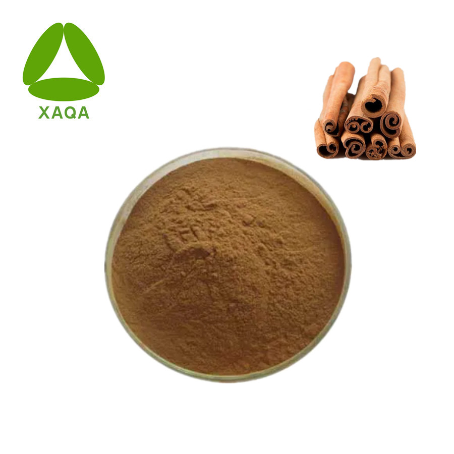 Cinnamon Bark Extract Powder