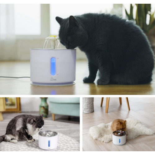 Fontaine d&#39;eau de chat en acier inoxydable