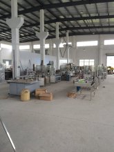 QZGJ1 Automatic Capper