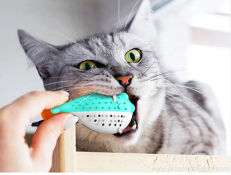 Pet Customized Luxury Eco Pet Cat Toothbrush Toy