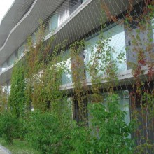 Agro PP Plant Climbing Net 150*170mm