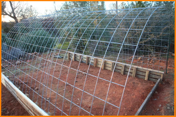 Grillage galvanized, welded wire mesh