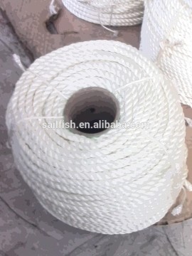 Twisted polyester rope