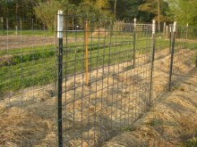 Fence Metal Fence Barbed Wire T Posts