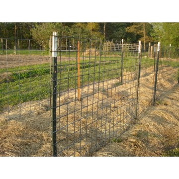 t bar fence post galvanized wholesale