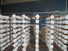 PU Building Materials /Balusteade System/Railing