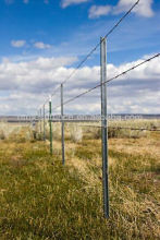 Metal T post/T anchor Post/South America T Studden Post