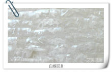 Whitelip MOP mother of pearl shell paper