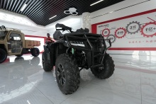 Off road side by side for sale