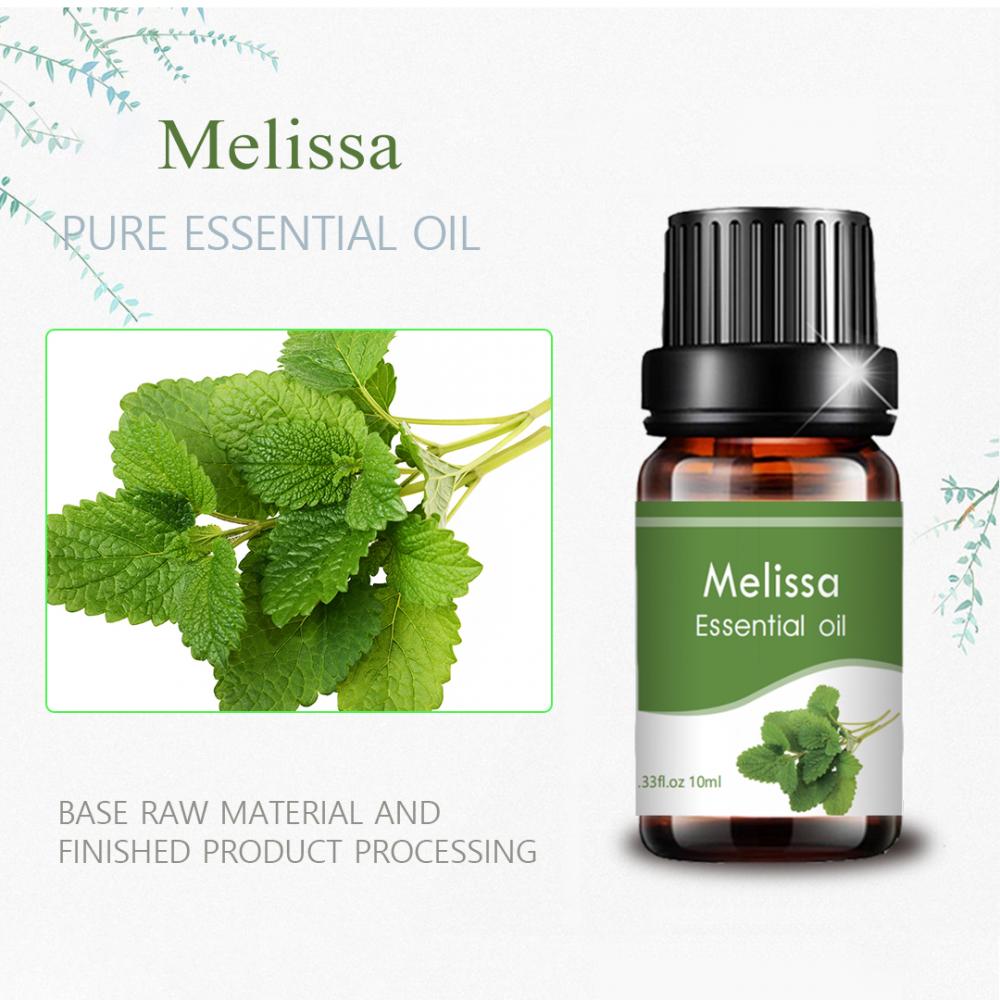 Nova marca de 10 ml por atacado Melissa Óleo Essential