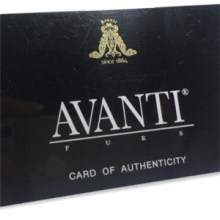 Programmable Magnetic Card