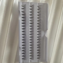 Professional Volume Lashes: 3D, 4D, 5D Individual & Cluster Flare Lashes
