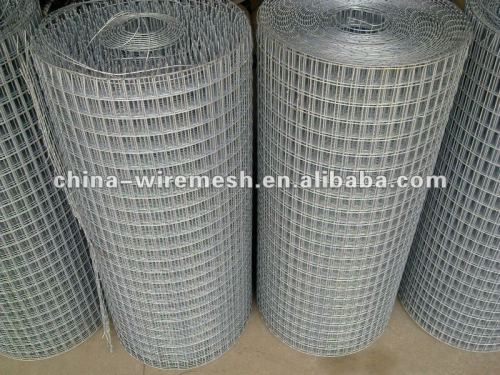 bird cage wire mesh of welded wire mesh