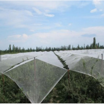 Malla de plástico resistente a los rayos UV Anti Bird Net