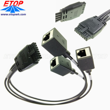 Overmolded Power Micro-fit Connectors to 4in RJ45 Jack
