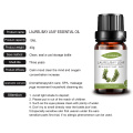 Bulk price Bay Leaf massage Oil For Candle