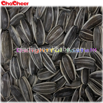 Sunflower seeds for import