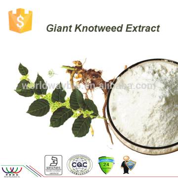 free sample ! China HPLC giant knotweed extract trans resveratrol bulk powder